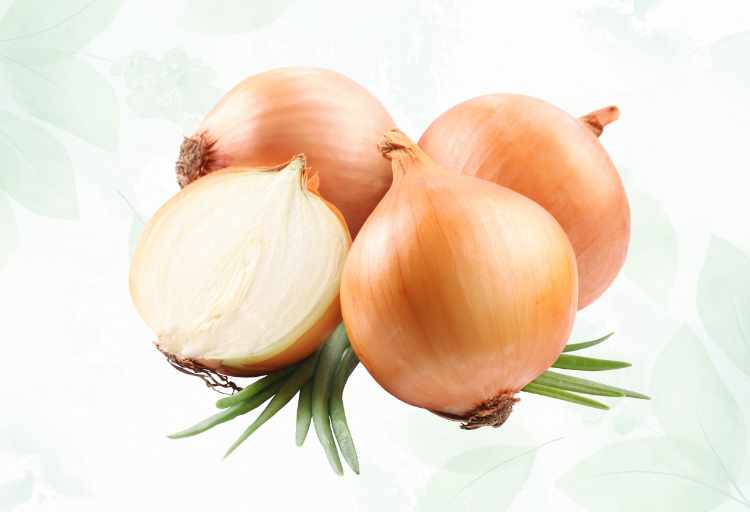 What Is A Spanish Onion