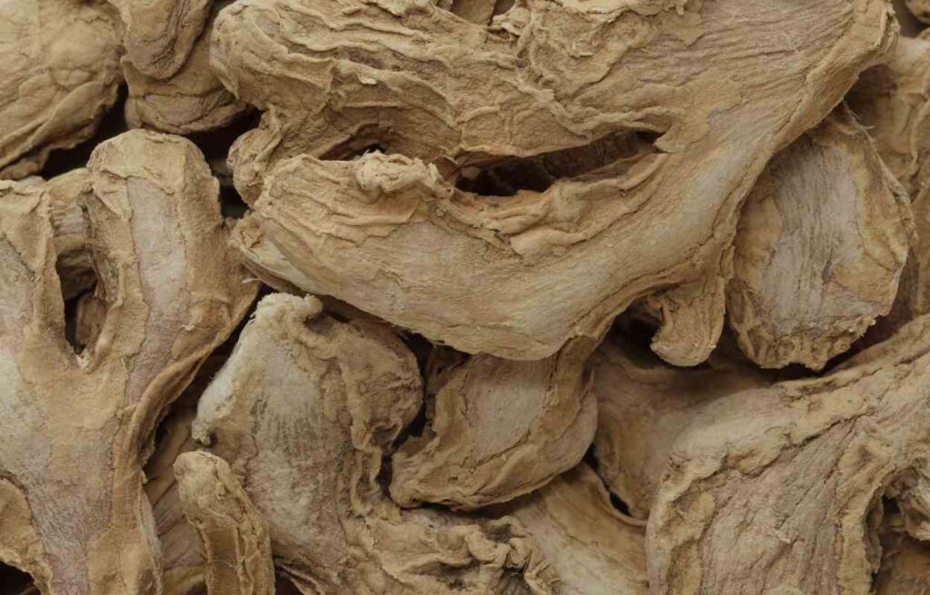 Can You Freeze Dry Ginger