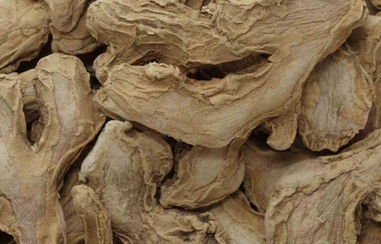 Can You Freeze Dry Ginger