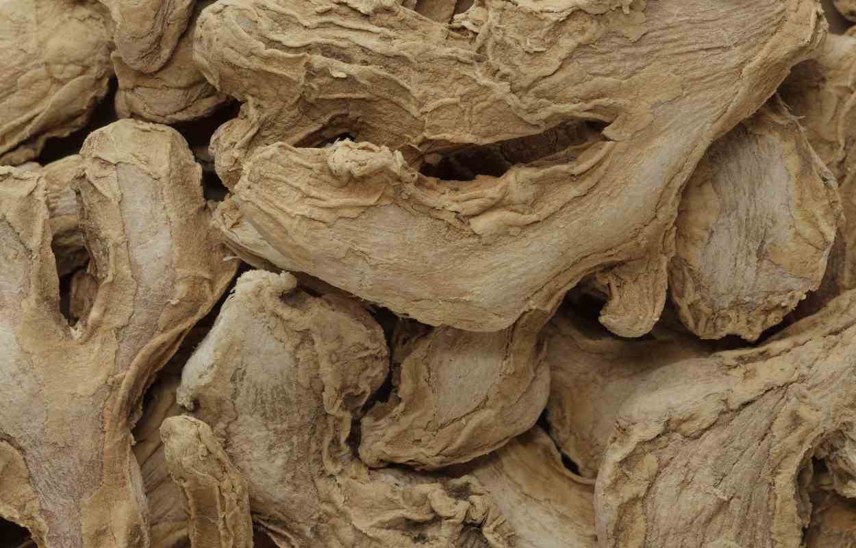 Can You Freeze Dry Ginger? KitchenMince