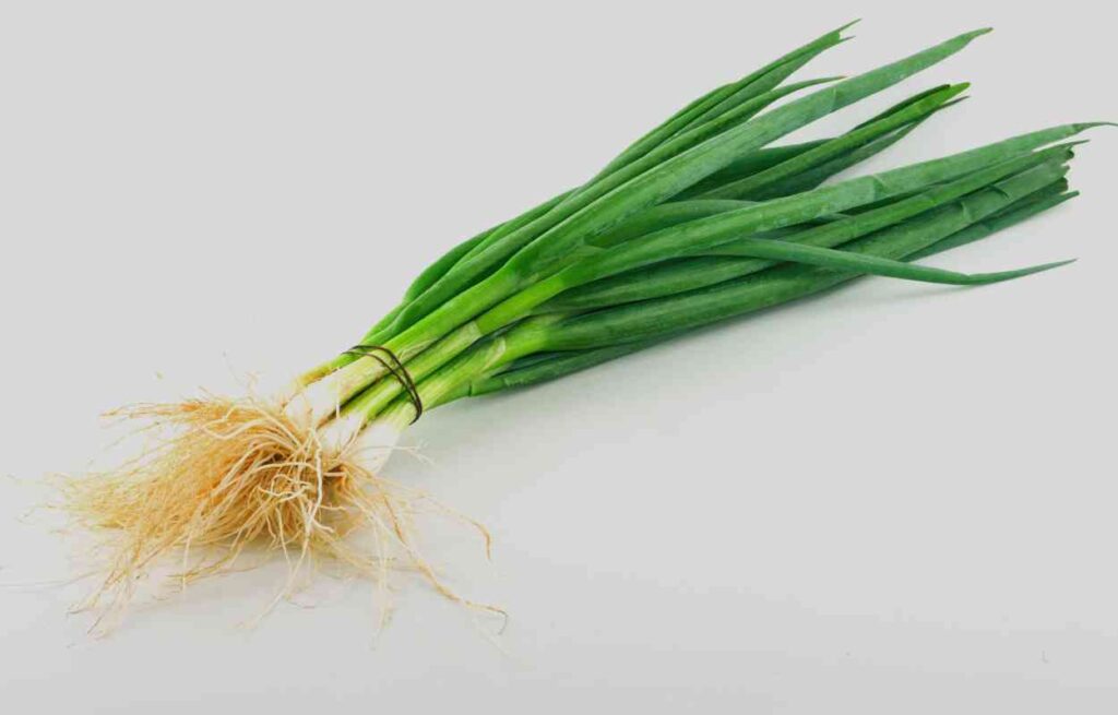 Can You Freeze Green Onions?