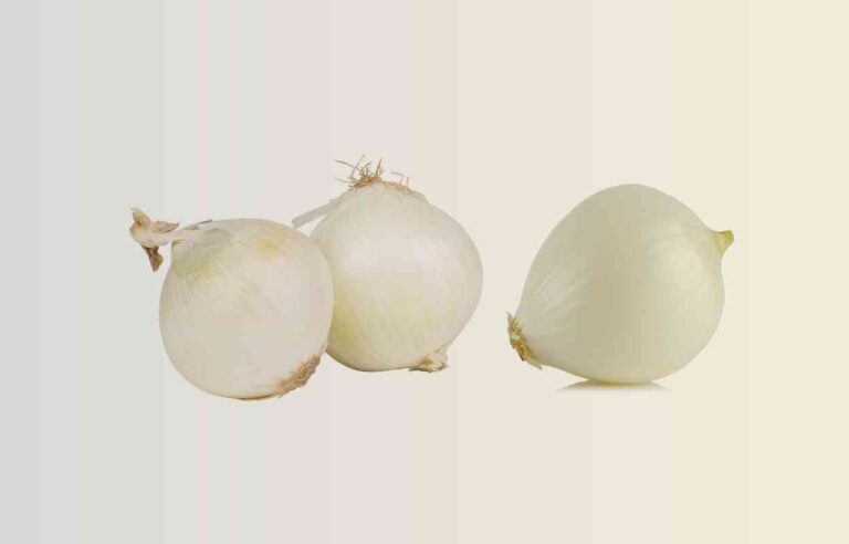 Can You Pickle White Onions