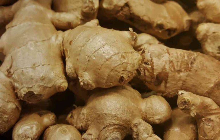 Can You Vacuum Seal Ginger