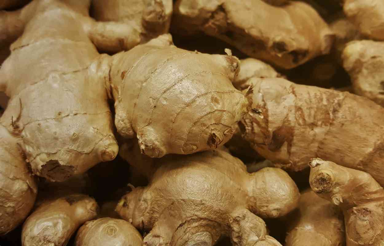 Can You Vacuum Seal Ginger? KitchenMince