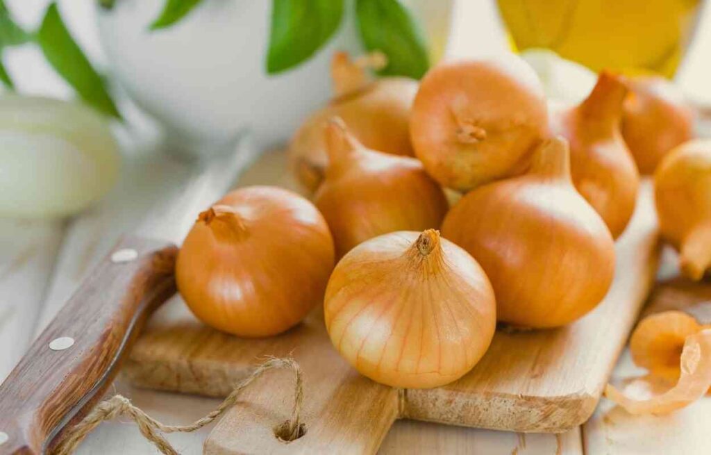 Can You Vacuum Seal Onions