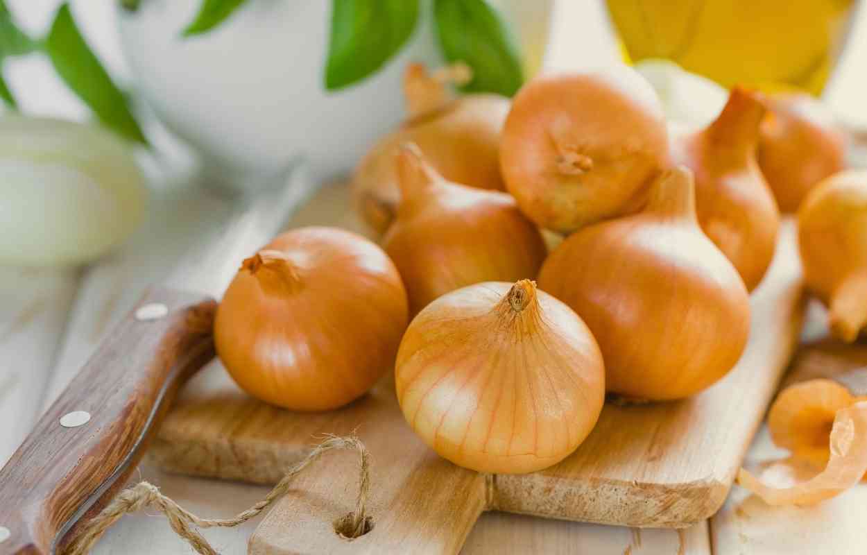 Can You Vacuum Seal Onions? KitchenMince