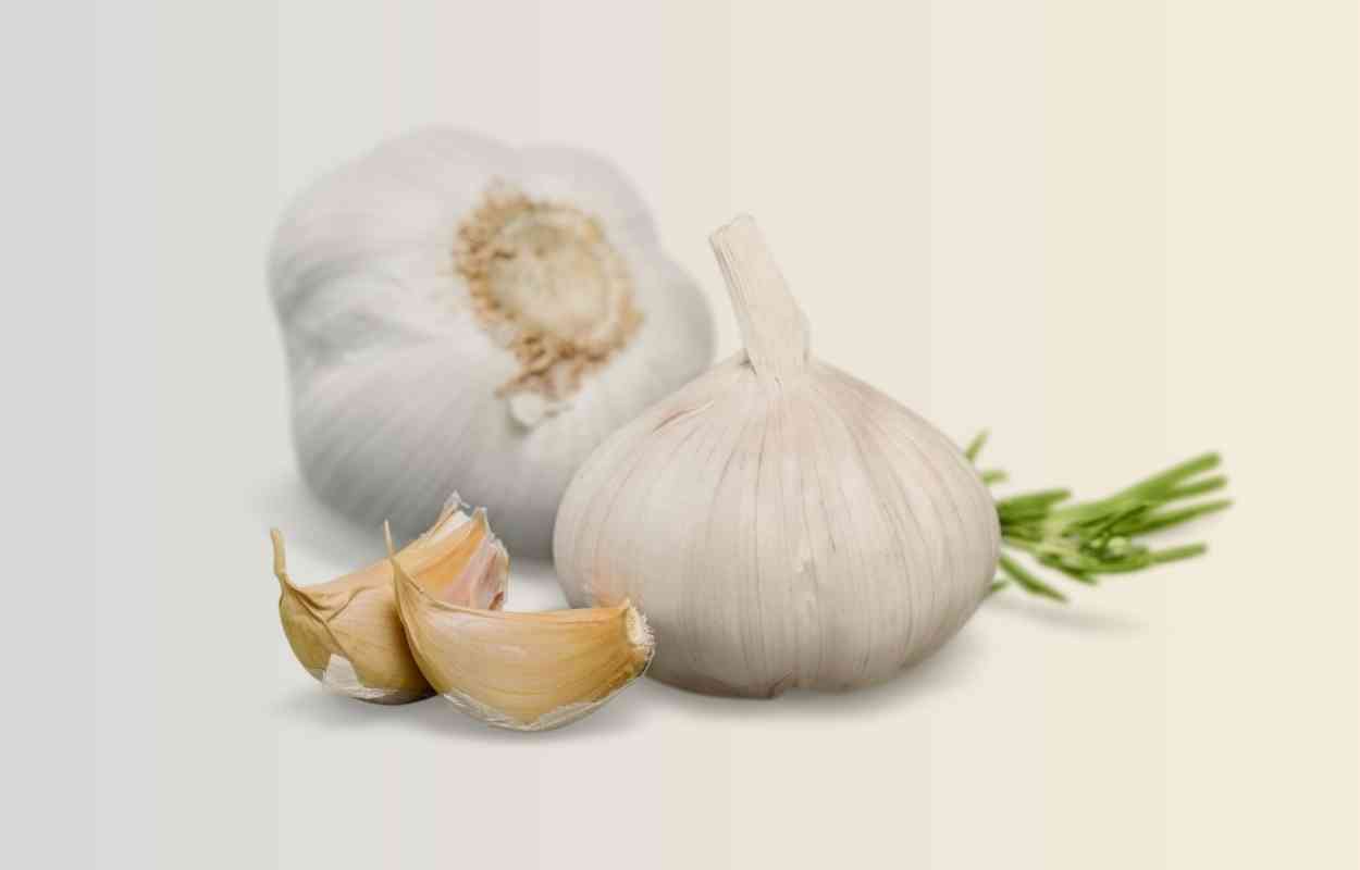 How Much Does a Garlic Clove Weigh? KitchenMince