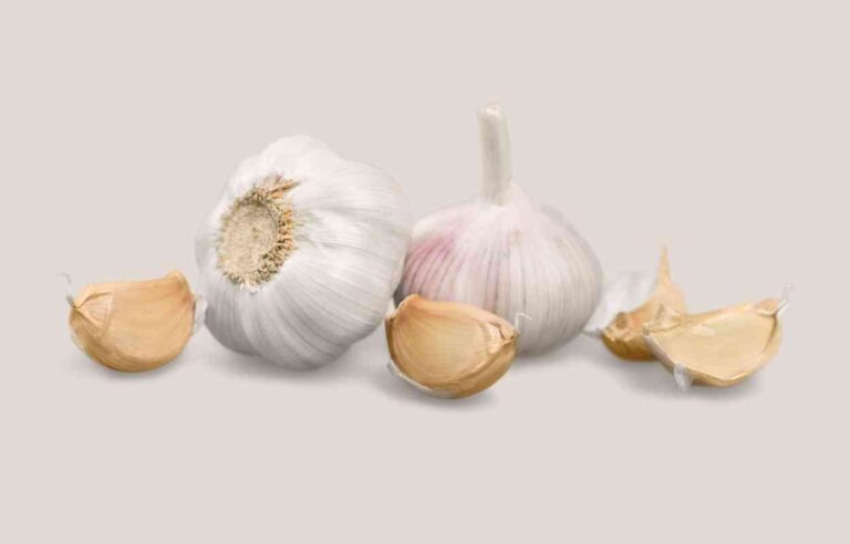 Is Garlic Vegan