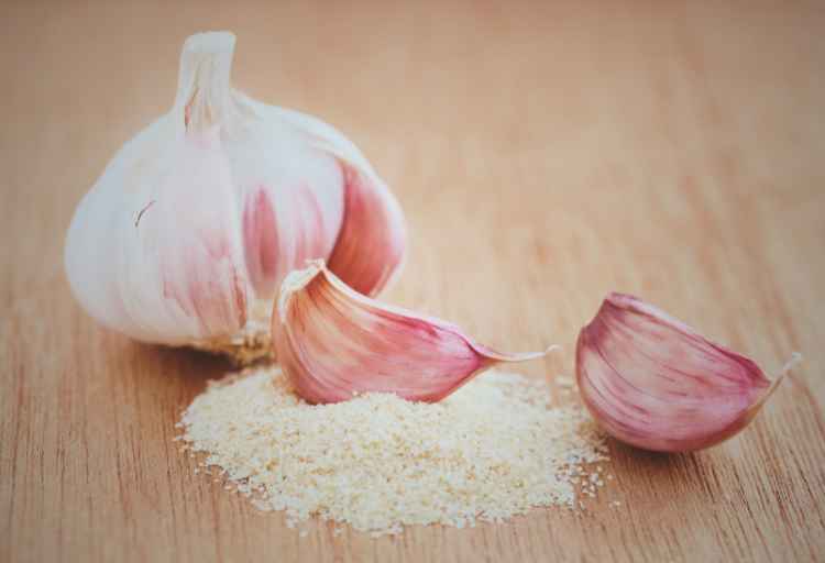 Can You Substitute Garlic Powder For Minced Garlic