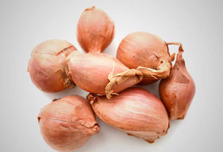Shallots Vs Red Onion