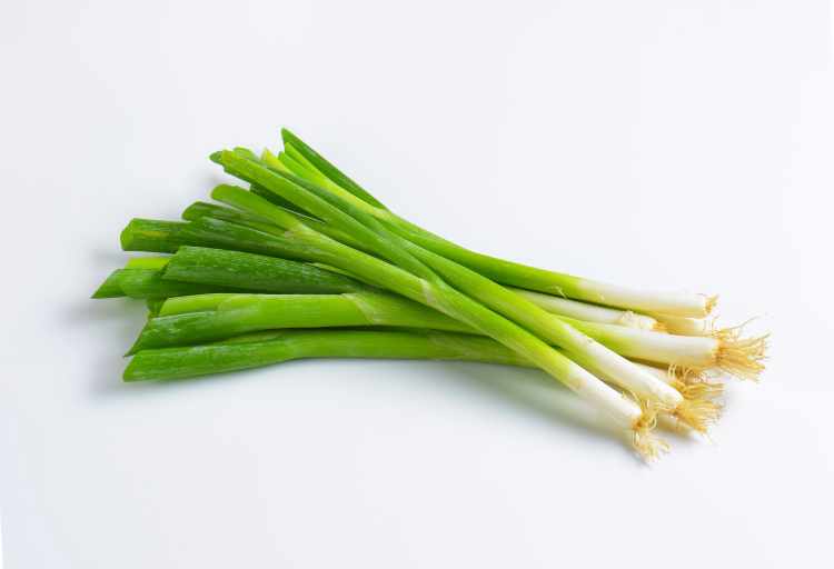 Substitutes For Green Onions In Fried Rice