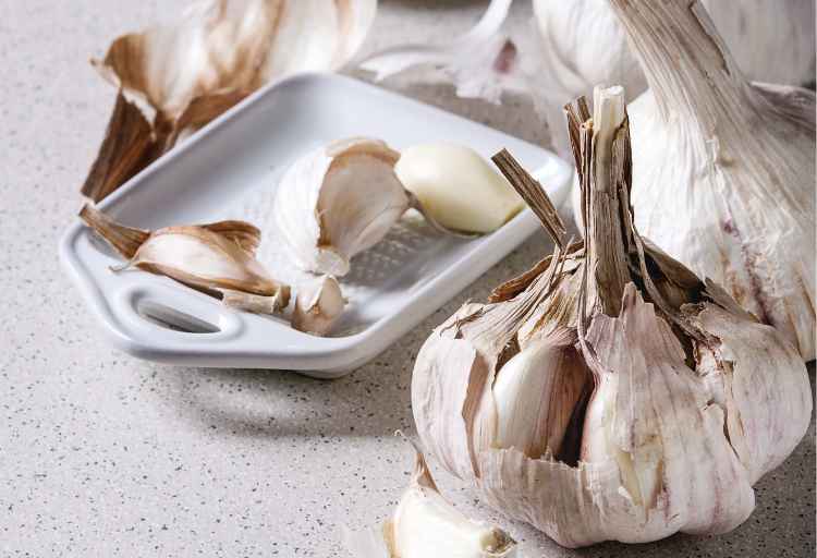 What Are The Brown Spots On Garlic